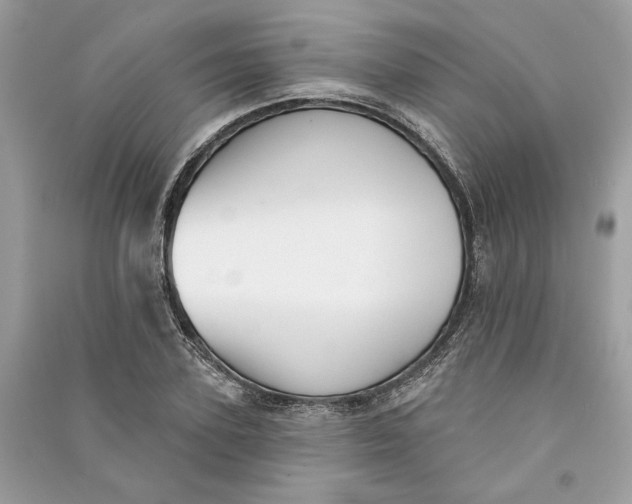 X0000090730931200708101636