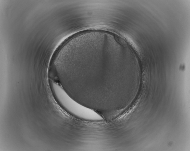 X0000090730932200708101636