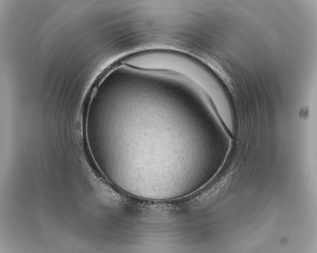 X0000090730934200708101636