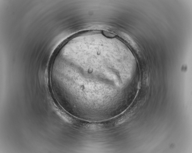 X0000090730936200708101636