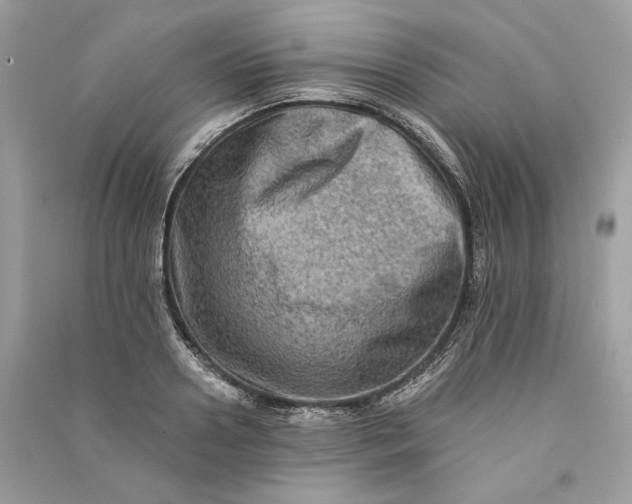 X0000090730938200708101636