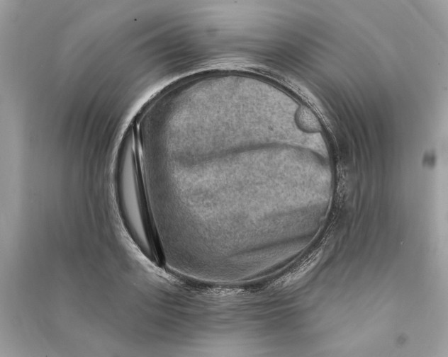 X0000090730939200708101636