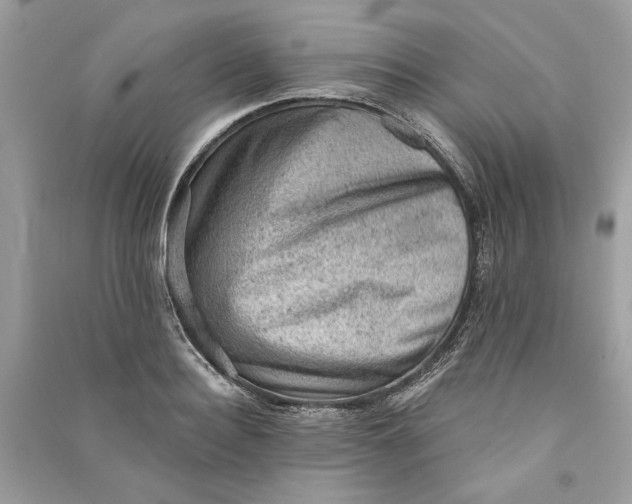 X0000090730940200708101636