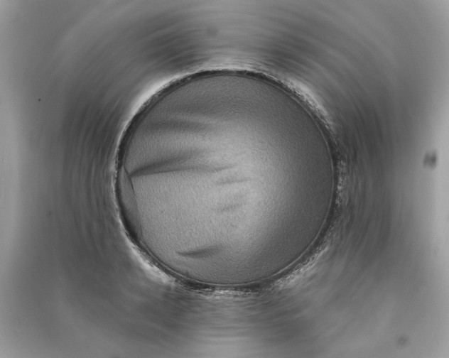 X0000090730942200708101636