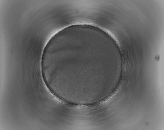 X0000090730943200708101636