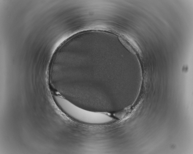 X0000090730944200708101636