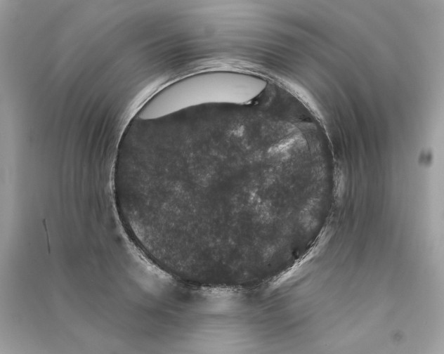 X0000090730946200708101636