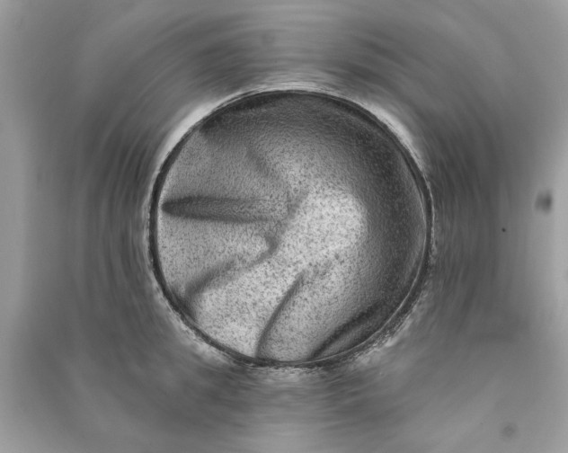 X0000090730949200708101636