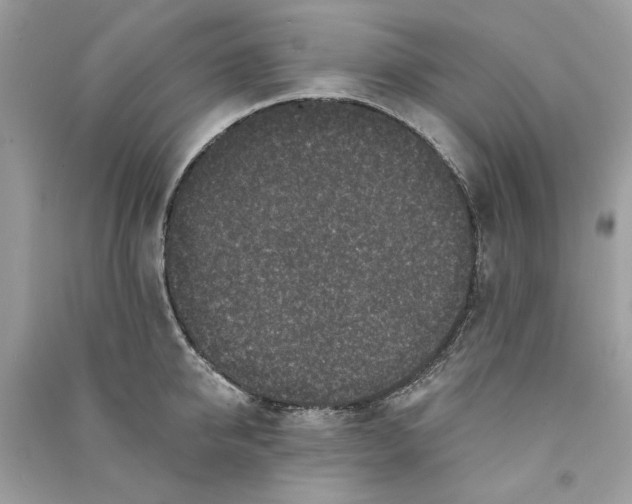 X0000090730950200708101636