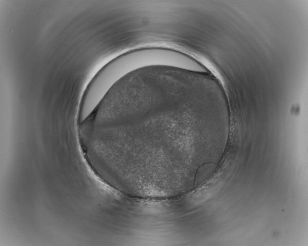 X0000090730951200708101636