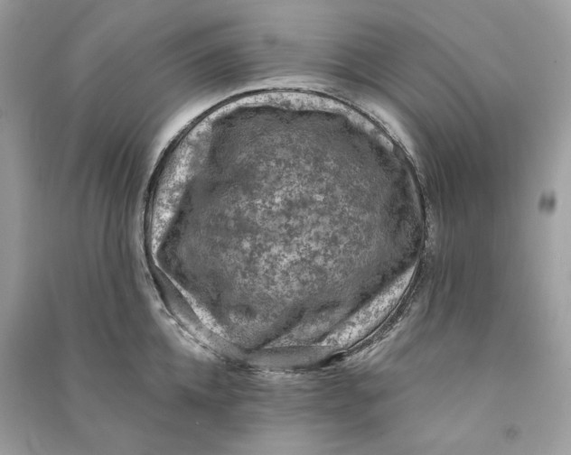 X0000090730952200708101636