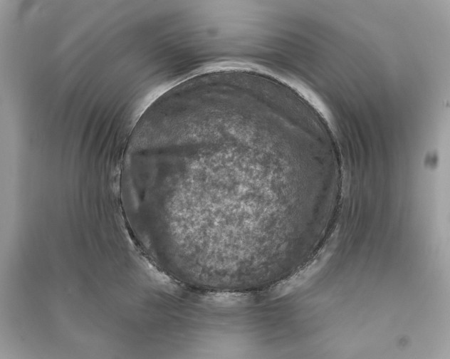 X0000090730953200708101636