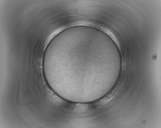 X0000090730954200708101636