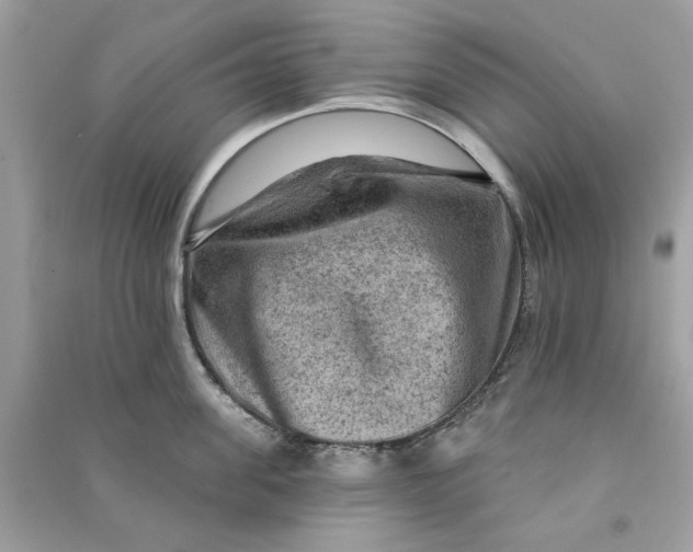 X0000090730955200708101636