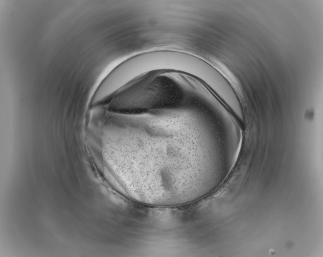 X0000090730956200708101636