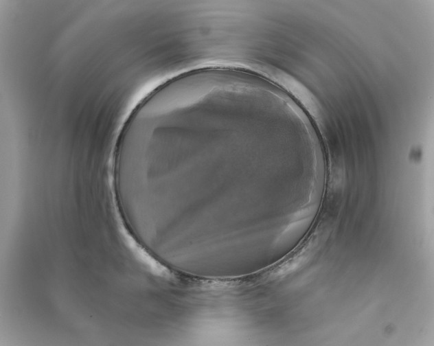 X0000090730958200708101636