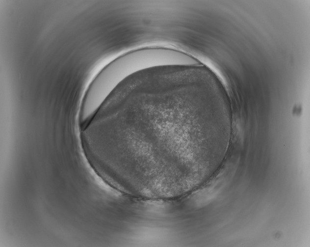 X0000090730959200708101636