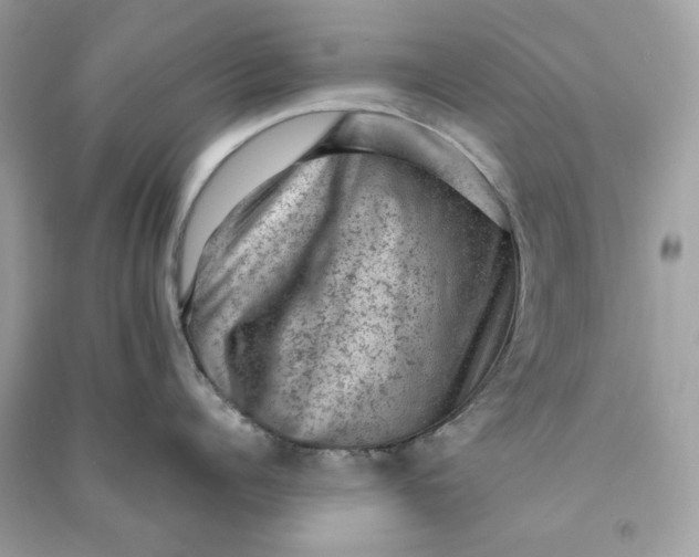 X0000090730960200708101636