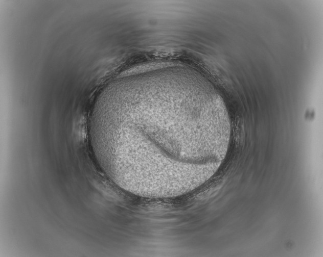 X0000090730962200708101636