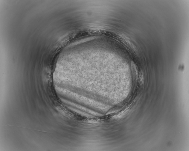 X0000090730964200708101636