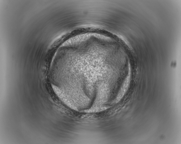 X0000090730967200708101636