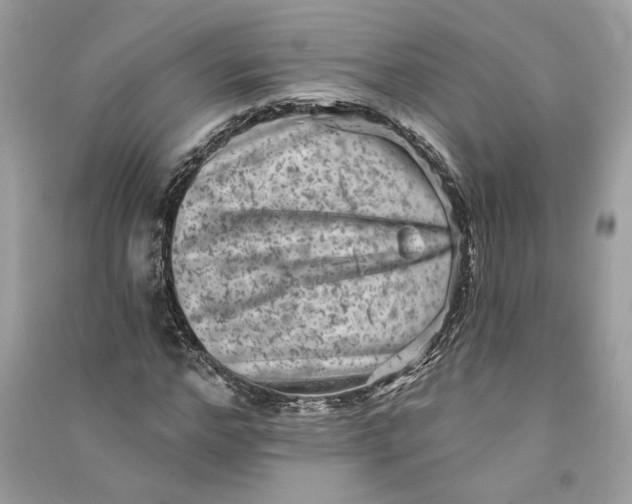 X0000090730968200708101636