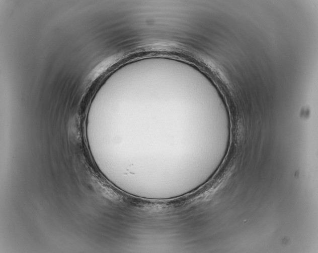 X0000090730970200708101636