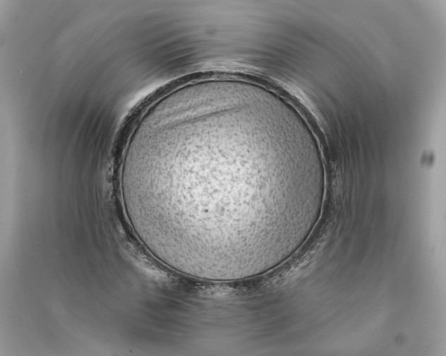 X0000090730971200708101635