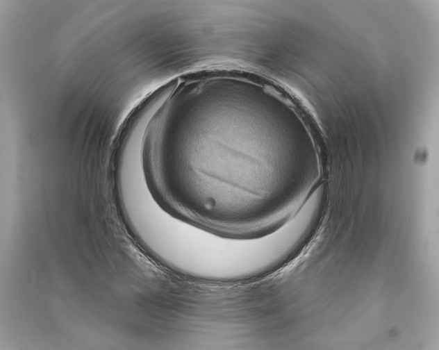 X0000090730973200708101635