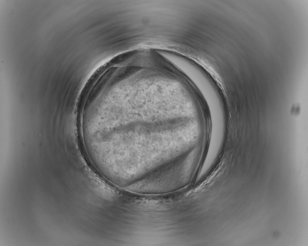 X0000090730976200708101635