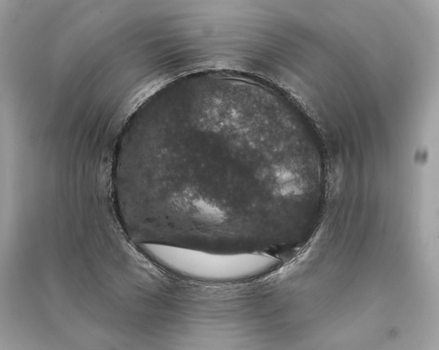 X0000090730977200708101635