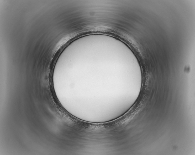 X0000090730978200708101635