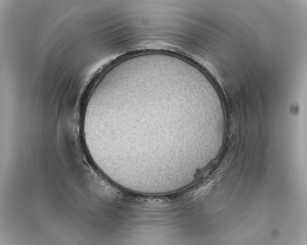 X0000090730979200708101635