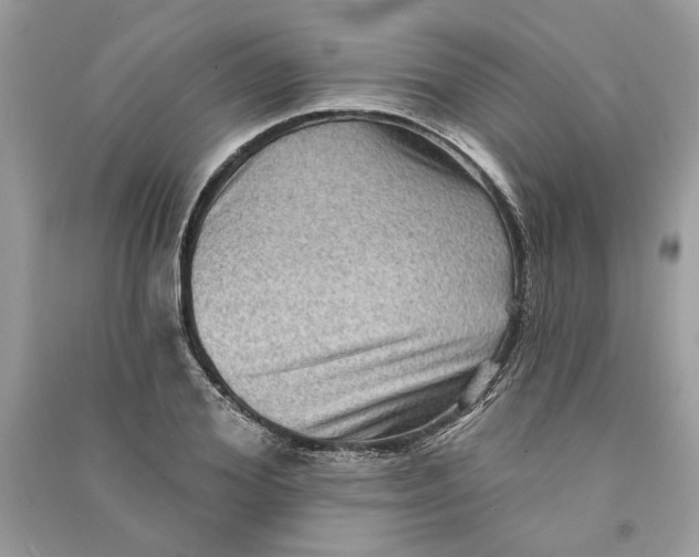 X0000090730980200708101635