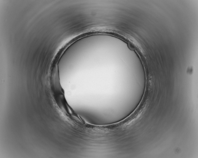 X0000090730981200708101635