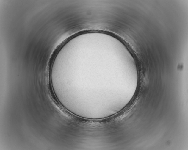 X0000090730982200708101635