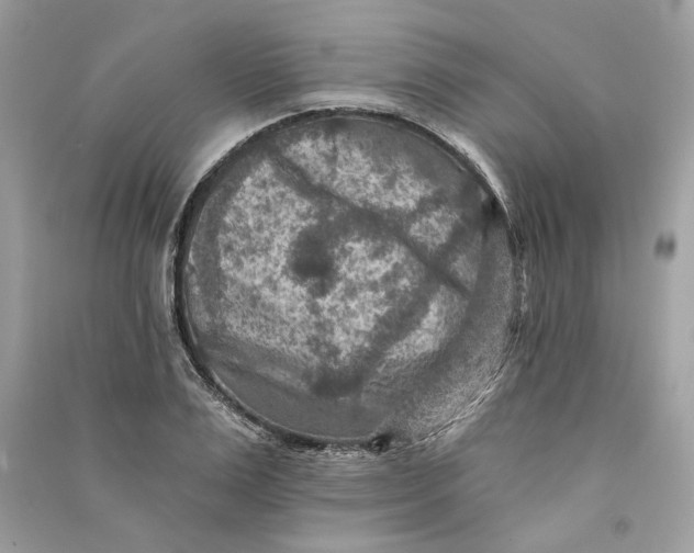 X0000090730983200708101635