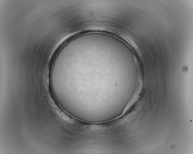 X0000090730984200708101635