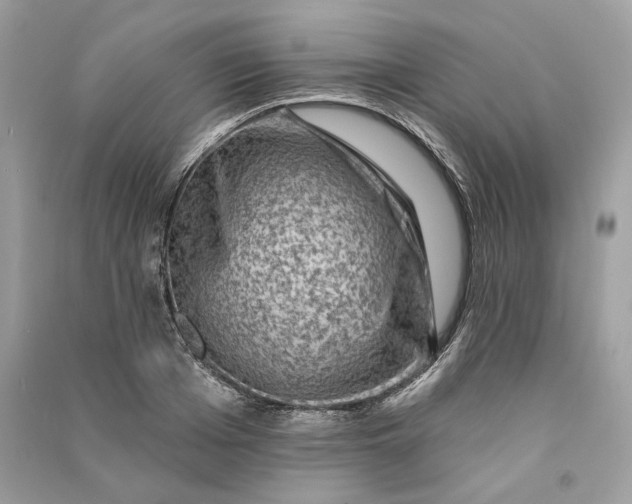 X0000090730985200708101635