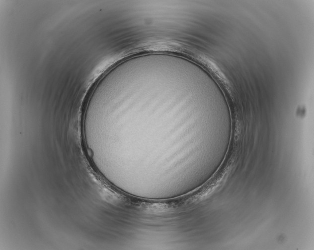 X0000090730986200708101635