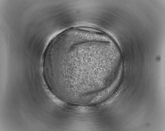 X0000090730987200708101635