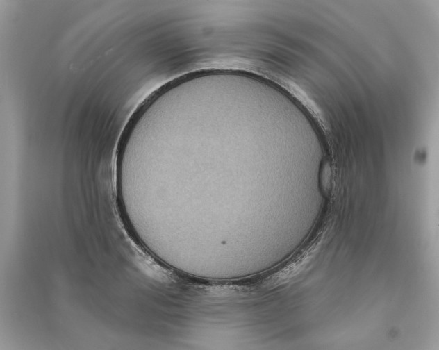 X0000090730988200708101635