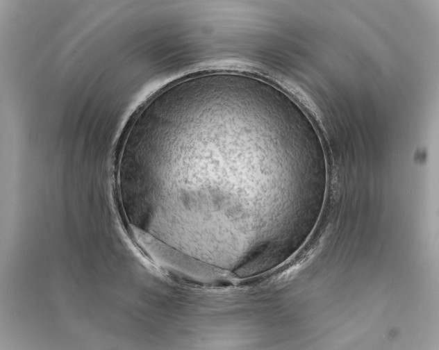 X0000090730989200708101635