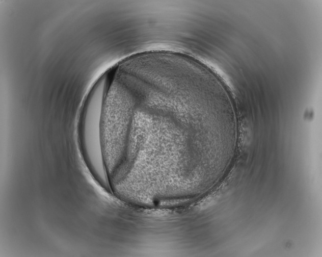 X0000090730991200708101635