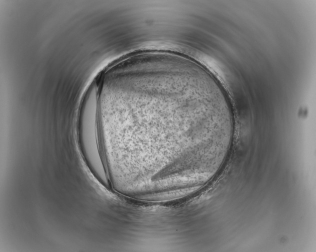 X0000090730992200708101635