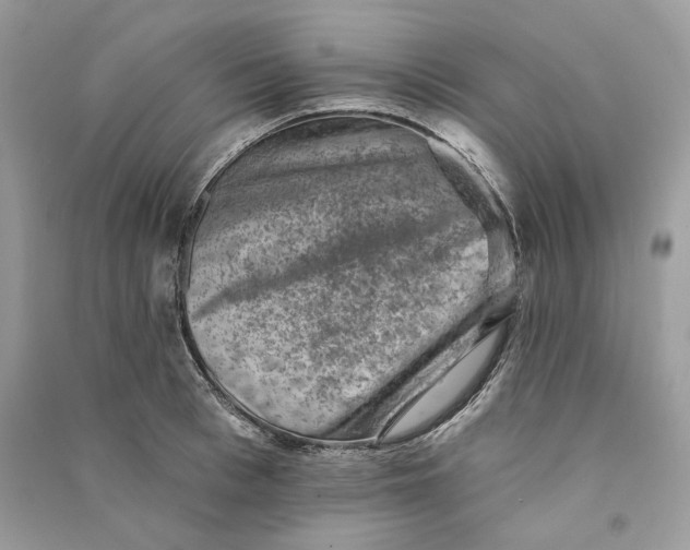 X0000090730993200708101635