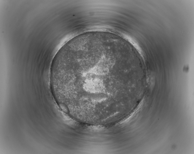 X0000090730994200708101635