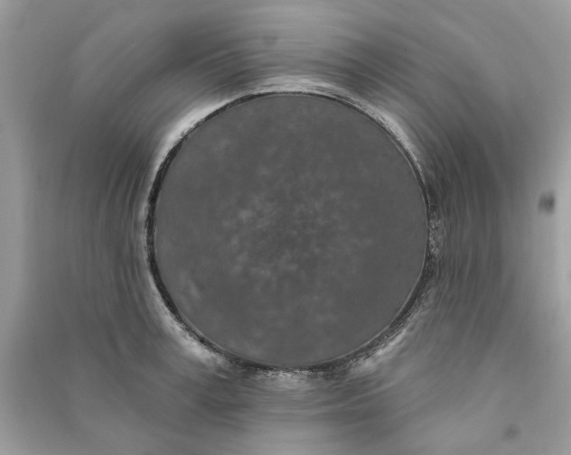 X0000090730995200708101635