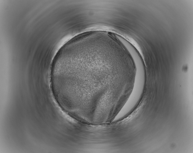 X0000090730997200708101635