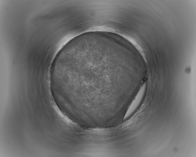 X0000090730998200708101635